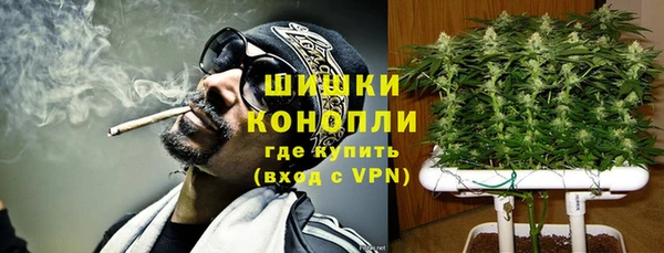 ПСИЛОЦИБИНОВЫЕ ГРИБЫ Алексеевка