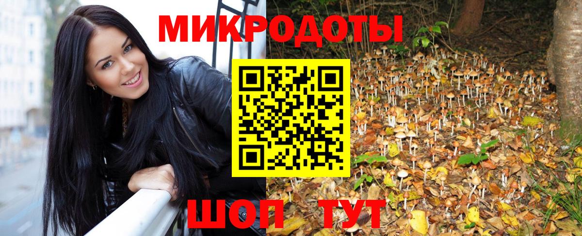 Псилоцибиновые грибы Psilocybe  Вход с VPN  Псилоцибиновые грибы ЛСД  Уфа 
