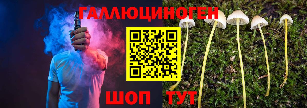 Псилоцибиновые грибы Cubensis Уфа